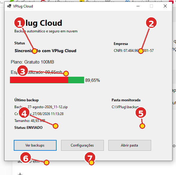 Tela principal do VPlug Cloud com campos numerados